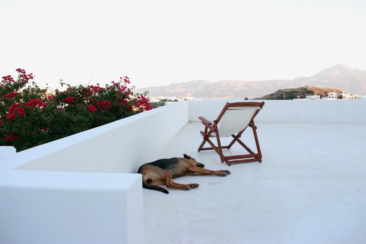 Hotel Prickly Pear House Plaka  Exteriér fotografie